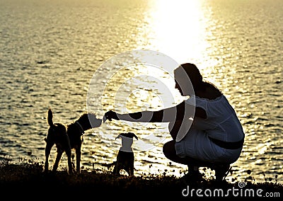 Woman and dogs Silhouette summer beach sunset at the sea playing together