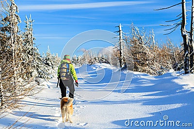 Woman hiking with dog in winter