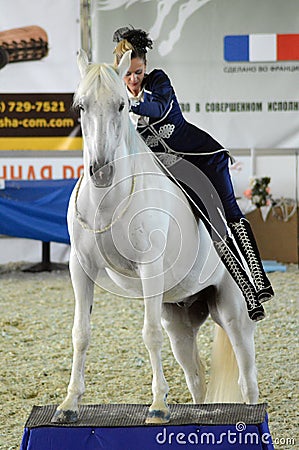 Woman jockey in blue dress International Horse Show. Female rider on a white horse. Riding hall