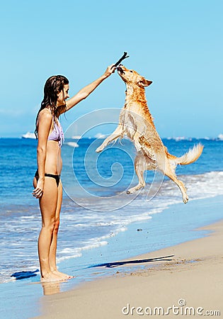Woman Playiing with Dog Jumping into the Air