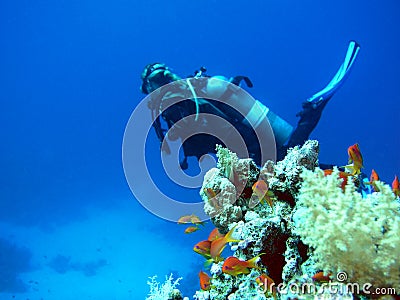 Woman scuba diver