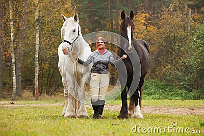 Woman with two shire horses