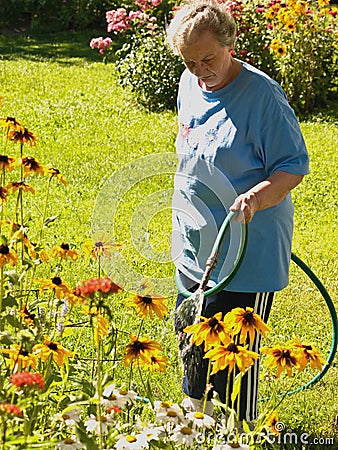 Woman watering glorious daisies