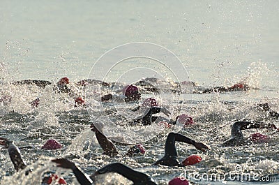 Women Competing in Open Water Swim Race