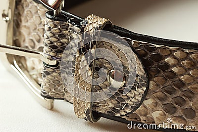 Women s belt leather snake