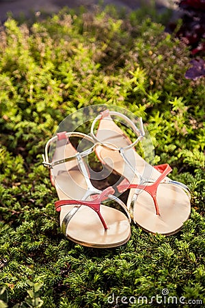 Women summer sandals lie on the grass