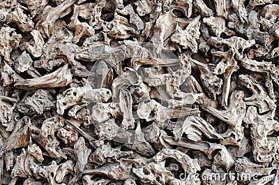 Wood chips background