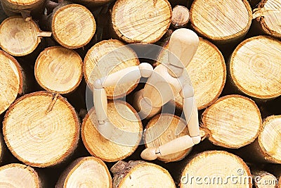 Wood doll evolution