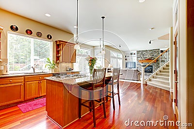 Wood luxury large kitchen, living room