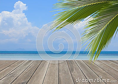 Wood plank over beach with coconut palm tree