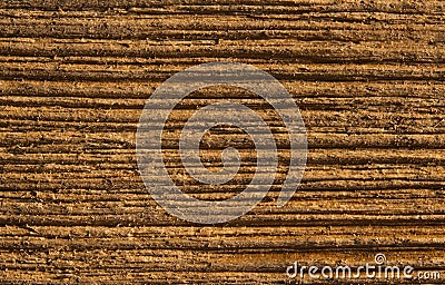 Wood texture grain background, wooden plank