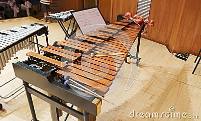 Wooden xylophone in the orchestra.