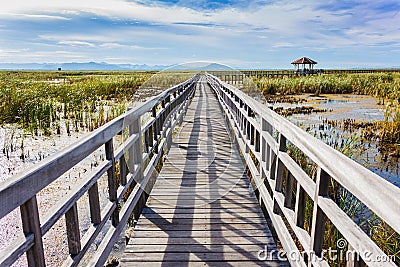 Wooden Bridge in lotus lake at khao sam roi yod national park