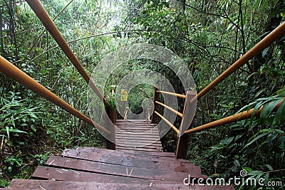 Wooden footpath