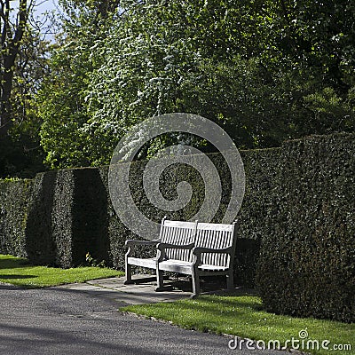 Wooden garden bench in English garden