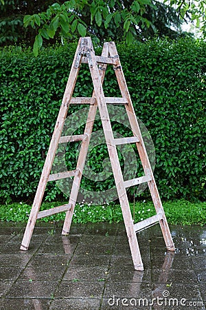 Wooden ladder on the backyard