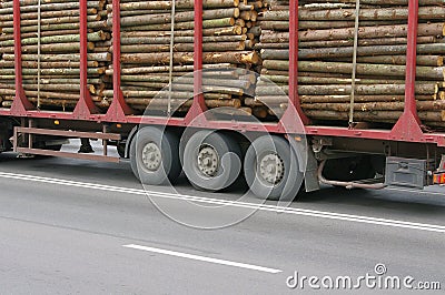 Wooden Logs on Logging Truck Trailer