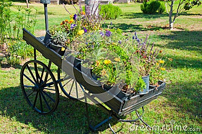 Wooden pallet truck as garden decor