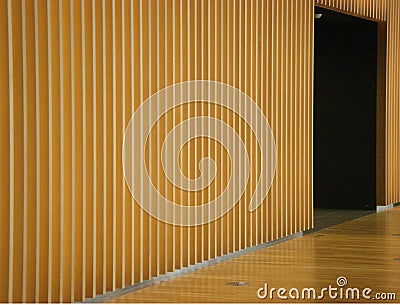 Wooden panel wall and door