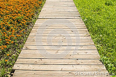 Wooden road through grass and flowers