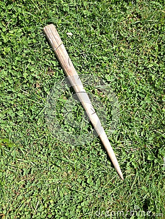 Wooden stake