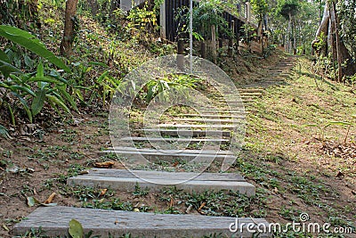 Wooden steps stair