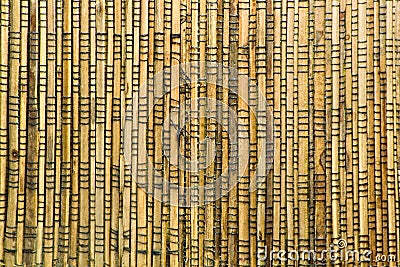 Wooden Sticks Texture