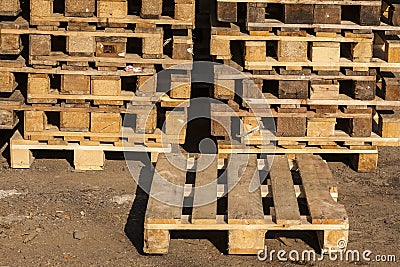 Wooden transport pallets in stacks.