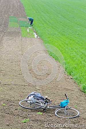 Work in a field