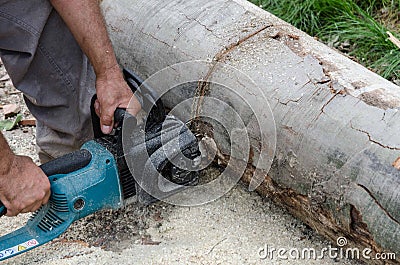 Worker with electric chainsaw