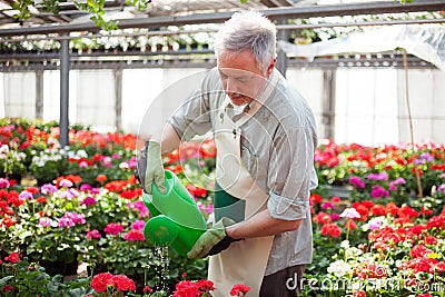 Worker watering plants