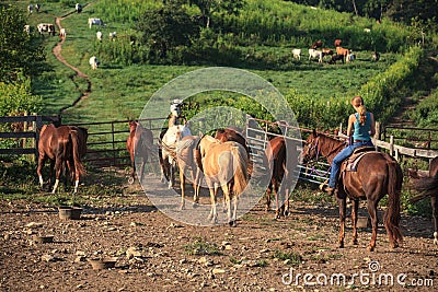 Working Cowgirl on Horse Farm