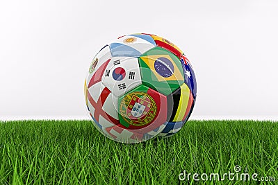 World Cup football on Grass