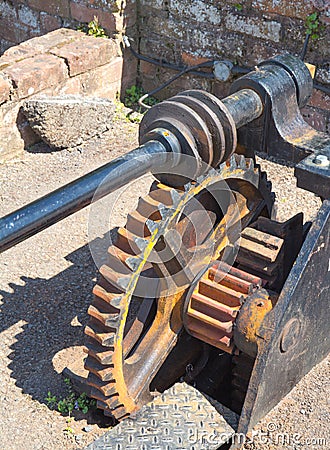 Worm Drive