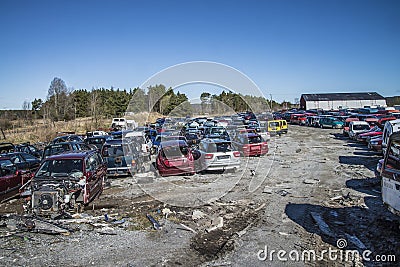 Wreck cars on a scrap yard