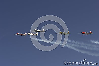 Yaks in formation