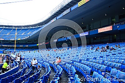 Yankee Stadium First Base Side