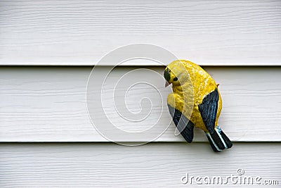 Yellow Bird Carving on Wall