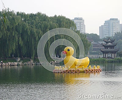 Yellow duck in park