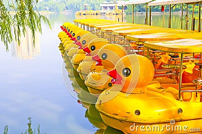 Yellow duck queue