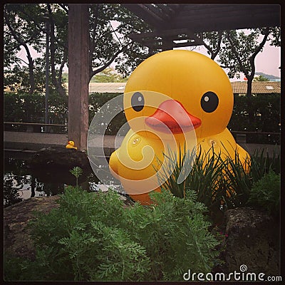 Yellow duck in Taipei