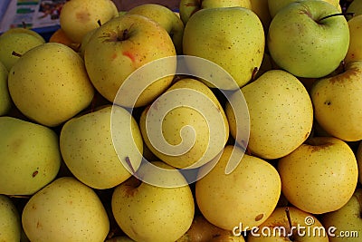 Yellow ripe ready to eat apple fruits