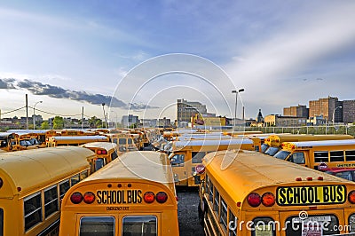 Yellow school buses against the dark blue sky