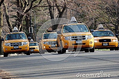 Yellow Taxis in New York s Central Park