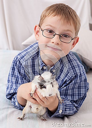 Young boy with guinea pig