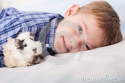 Young boy with guinea pig