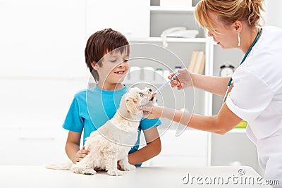 Young boy with his dog at the veterinary