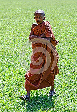 Young Buddhist monk