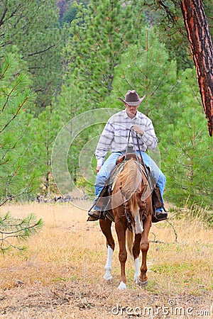 Young cowboy