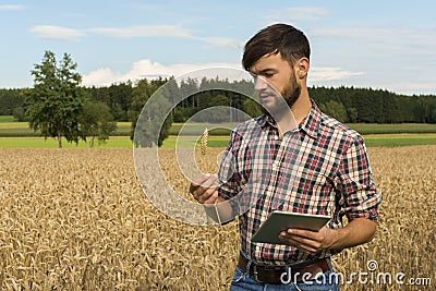 Young farmer with tablet inspecting crop